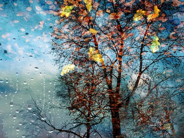 Herbst Blätter Auf Dem Bürgersteig Beleuchtet Durch Stadt Abendlicht Reflexion — Stockfoto