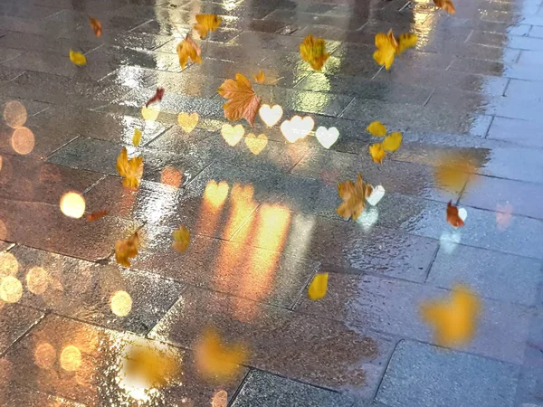 Herbst Blätter Auf Dem Bürgersteig Beleuchtet Durch Stadt Abendlicht Reflexion — Stockfoto
