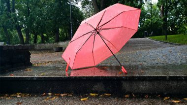 Tallinn 'de sonbahar akşamları açık pembe şemsiyeli sokak kafesi yağmurlu sezon sokak akşamı aydınlık şehir insanları manzara, Avrupa seyahati 