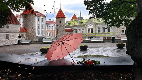 Tallinn 'de sonbahar akşamları açık pembe şemsiyeli sokak kafesi yağmurlu sezon sokak akşamı aydınlık şehir insanları manzara, Avrupa seyahati 