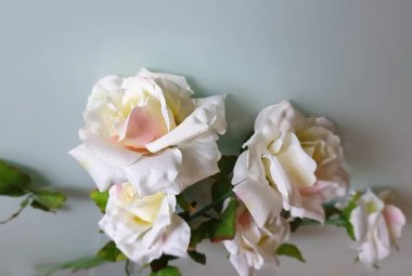 Güzel Çiçekler Bahar Gülleri Sevgililer Günü Kadın Düğün Arkaplanı Güller buket tebrik kartı illüstrasyon fotoğraf alanı 