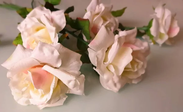 Hermosas Flores Rosas Primavera San Valentín Día Mujer Boda Fondo — Foto de Stock