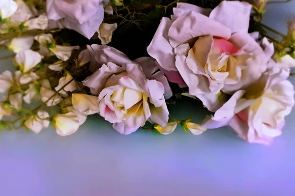 Güzel Çiçekler Bahar Gülleri Sevgililer Günü Kadın Düğün Arkaplanı Güller — Stok fotoğraf