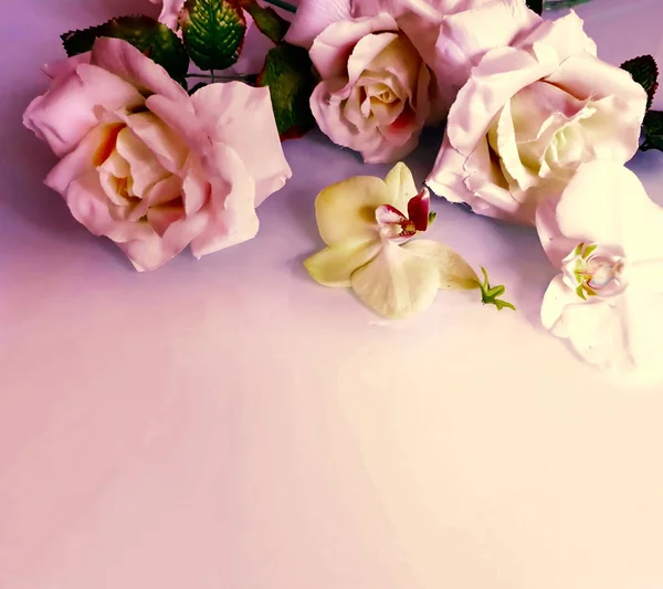 Hermosas Flores Rosas Primavera San Valentín Día Mujer Boda Fondo — Foto de Stock
