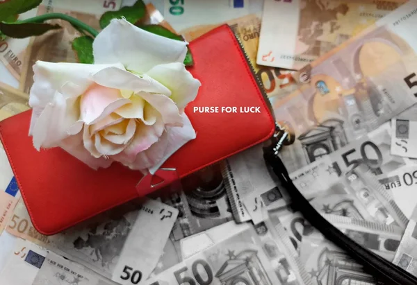 Euro Geld Close Geïsoleerde Achtergrond Rood Portemonnee Concept Abstract — Stockfoto