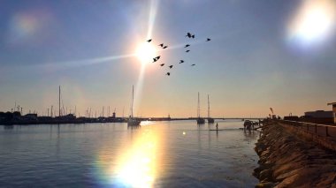  Sea blue and pink skyline  view at horizon ocean  water splash on harbor blue sky and clouds sun light, beach boat on ocean water splash birds fly sunset  holiday travel 