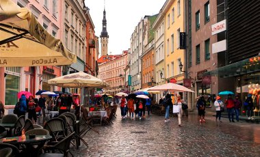 Yağmurlu eski Tallinn kasabası, Estonya halkı pembe renkli şemsiyeler, sokak kafesi Sonbahar mevsimi yaşam tarzı turistik kentsel yaşam tarzı Avrupa 'ya seyahat ediyor 