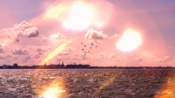  sea sunset at  bay , summer holiday romantic pink  and blue sunset at  sea beach sunlight reflection  on  water wave seashell on sand rock on horizon Tallinn shore ,travel to Europe  nature sunshine  landscape Baltic 
