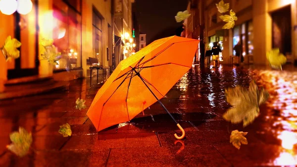 Otoño Deja Noche Lluviosa Tiempo Lluvioso Las Hojas Caen Gente —  Fotos de Stock