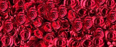 Gül deseni soyut arkaplan gülleri çiçek deseni modern desen farklı tonlar pembe mavi yeşil beyaz pastel rengi ve açık renk desenli çiçek desenli 