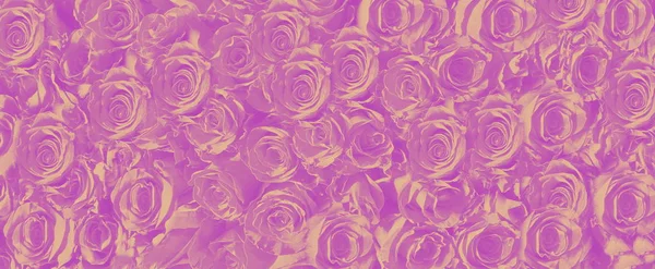 Rose Texture Floreale Astratto Sfondo Rose Floreale Colorato Texture Moderna — Foto Stock