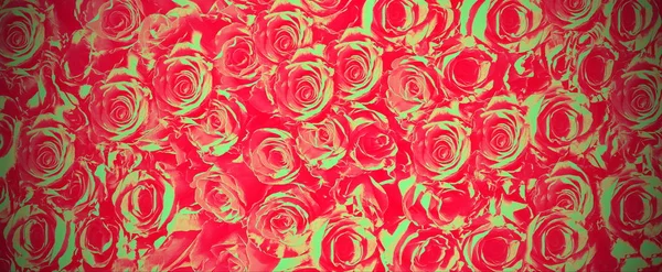 Abstrakte Hintergrund Rosen Blumen Rot Grün Gefärbt Moderne Textur Verschiedene — Stockfoto