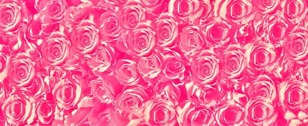 Elvont Háttér Rózsák Virágos Piros Zöld Színű Modern Textúra Különböző — Stock Fotó