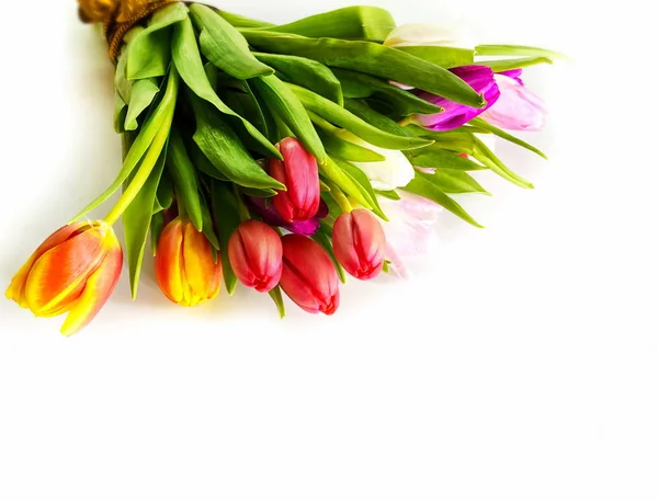 Tulpenblumen Auf Blauem Hintergrund Glückwünsche Für Glückwünsche Text Bunte Festliche — Stockfoto