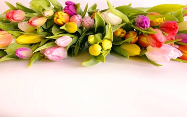 Spring flowers Tulip colorful festive  bouquet  background copy space template
