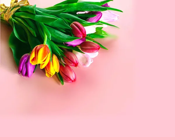 Tulip Spring Flowers Colorful Festive Bouquet Floral Banner Pink Lettering — 图库照片