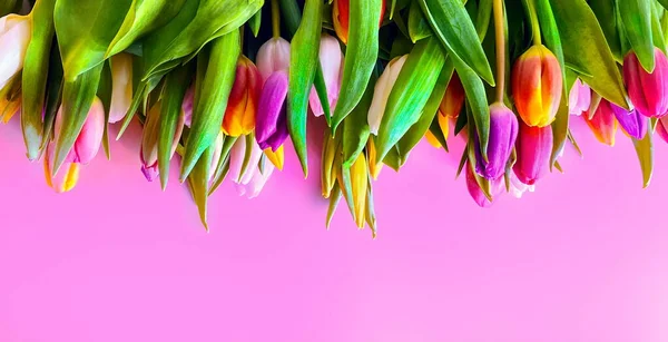 Tulips Bouquet Pink Blue Wooden Canvas Material Background Abstract Concept — Stock Photo, Image