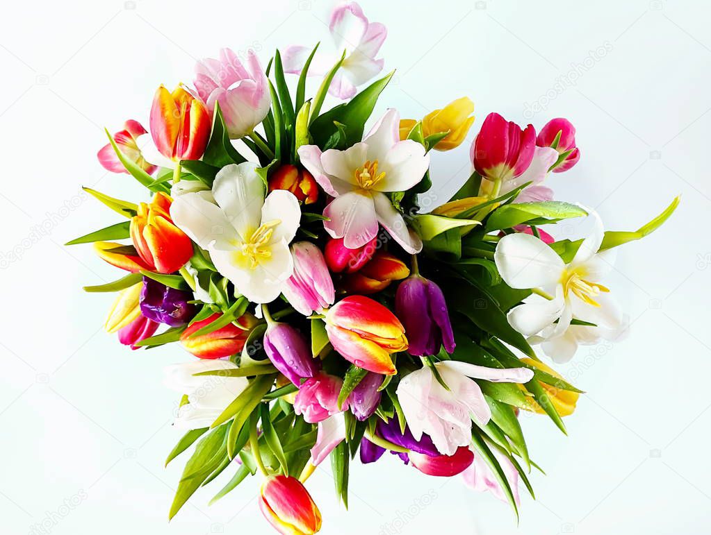 tulip colorful flowers  festive bouquet floral  valentines day or women day  on pink background best wishes love quotes copy space template 