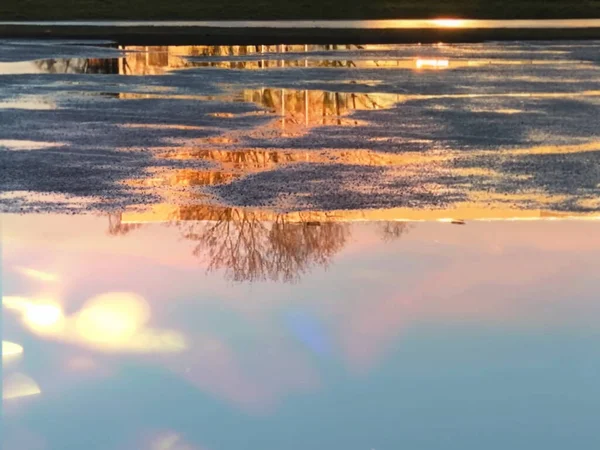 Refleksjon Gullsolnedgang Ved Asfalt Vårkvelden Urbane Puddler Tregrener Blå Himmel – stockfoto