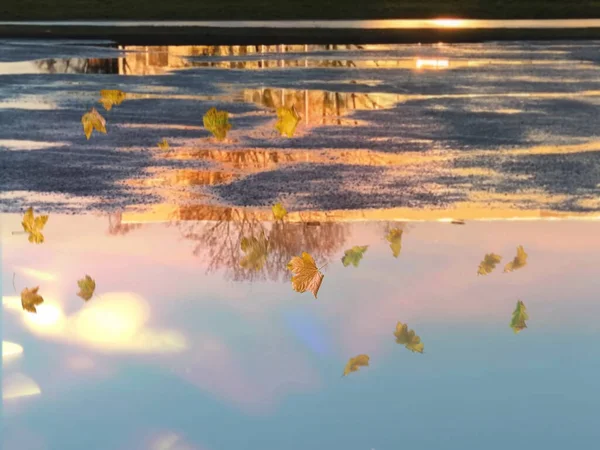 Foglie Autunnali Cadono Oro Tramonto Luce Riflesso Pozzanghere Acqua Asfalto — Foto Stock