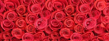 Kırmızı güller arka planda altın unsurlar hediye kutusu, Sevgililer Günü için tebrik kartı afişi ve Kadınlar Günü şablonu fotokopi alanı dilekleri metin harfi afişi 