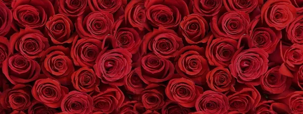 Rose Rosse Bouquet Sfondo Festivo Con Elementi Oro Confezione Regalo — Foto Stock