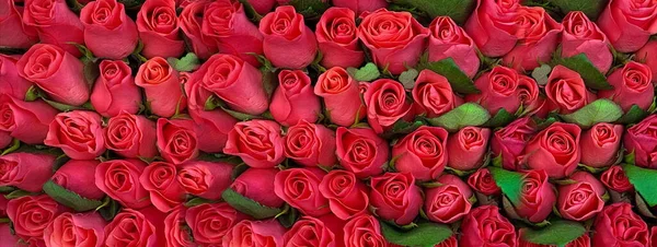 红色玫瑰花束 背景为金色元素和礼品盒 模板式问候卡片横幅情人节祝福和妇女日 — 图库照片