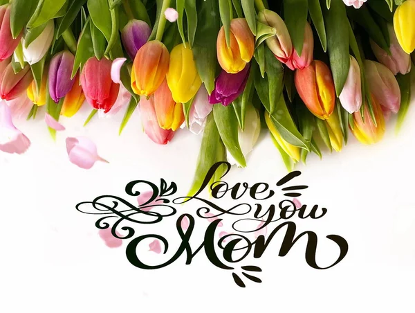 Днем Матери Любовь Поздравления Тюльпан Цветы Текст Пожелания Розово Голубой — стоковое фото