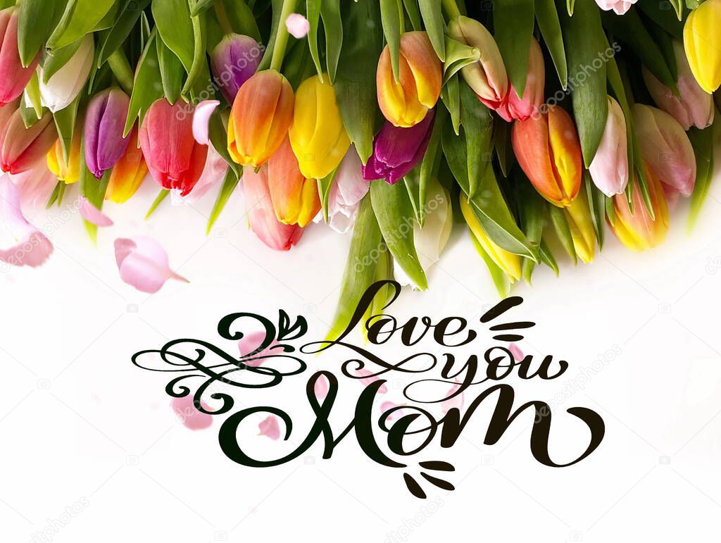 happy mother day love  greetings tulip flowers and text  wishes on pink blue white festive  background template for holiday isolated 