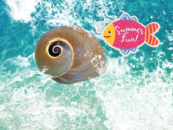 Summer Background Seashell Sea Wave Blue Sea Water Spake Template — 스톡 사진