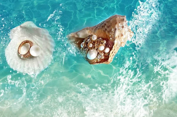 white pearl seashell with gold ring jewelry on blue marine sea water wave  splash concept fashion women accessories banner template copy space - Stock  Image - Everypixel