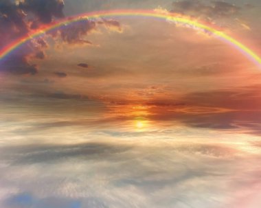 Gökkuşağı günbatımı deniz kenarında pembe bulutlu gökyüzü ufukta turuncu gökyüzü deniz kabuğu plaj taşında deniz kabuğu romantik manzara arka plan 