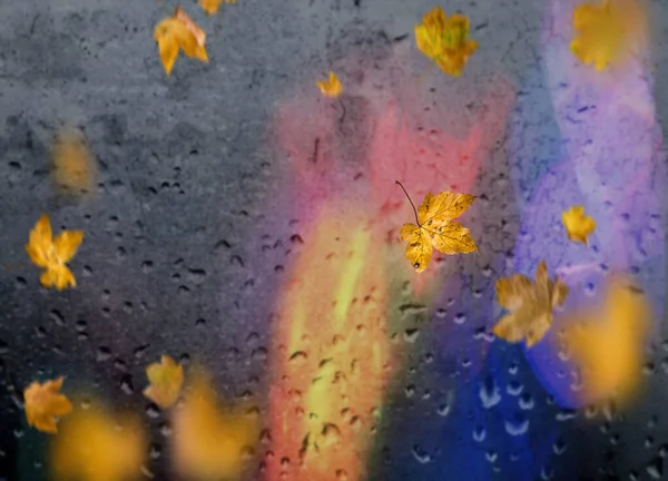 Herbst Blätter Fallen Bürgersteig Regnerisches Wetter Stadt Abend Licht Reflexion — Stockfoto