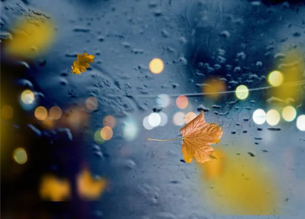 Otoño Hojas Caída Acera Lluvia Tiempo Ciudad Noche Luz Reflexión — Foto de Stock