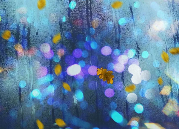 Hösten Löv Falla Trottoaren Regnigt Väder Stad Kväll Ljus Reflektion — Stockfoto