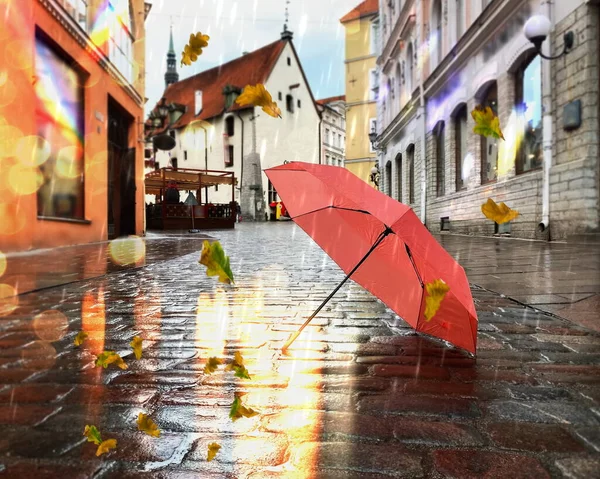 Autumn leaves  Rain city pink umbrella on old pavement i medieval street in Tallinn old town rainy weather old houses visit Estonia