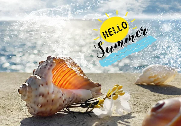 Hello Summer Text Γαλάζιο Ουρανό Στην Παραλία Και Κοχύλια Πέτρα — Φωτογραφία Αρχείου