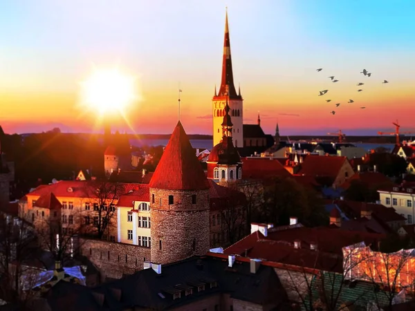 Tallinn Óvárosa Látogassa Meg Észtországot Tetőpanoráma Naplemente Utazás Napnyugta Madarak — Stock Fotó
