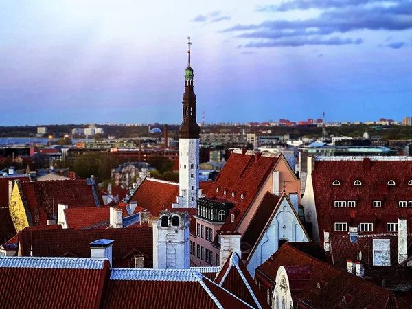 Tallinn Óvárosi Panoráma Középkori Vörös Tetők Tornyok Este Naplemente Látogatás — Stock Fotó