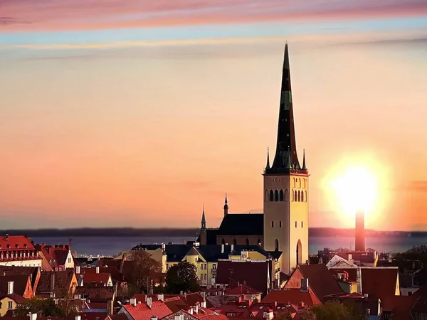 Tallinn Old Town Panorama Sunset Medieval Red Roofs Towers Evening — Stock Photo, Image