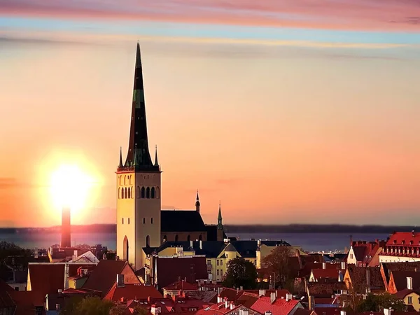 Tallinn Old Town Panorama Sunset Medieval Red Roofs Towers Evening — Stock Photo, Image