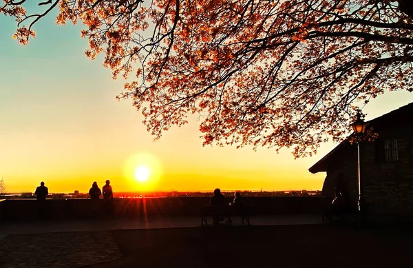 Menschen Silhouette Sonnenuntergang Altstadt Von Tallinn Estland Panoramablick Von Plattform — Stockfoto