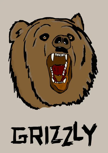 Głowę niedźwiedzia Grizzly — Zdjęcie stockowe