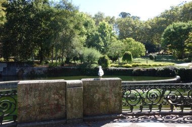 Parque de Castrelos