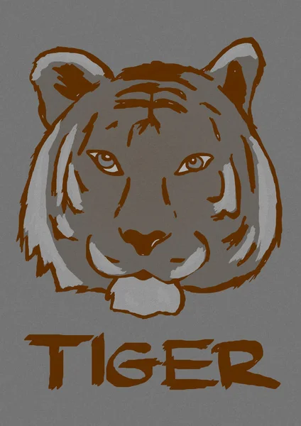 Tête de tigre vintage — Photo