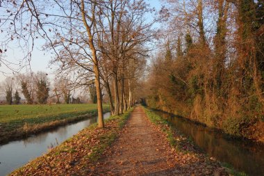 Kırsalda bir yürüyüş.