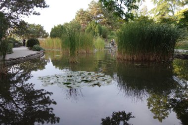 Budapeşte Margaret Adası Bahçesi