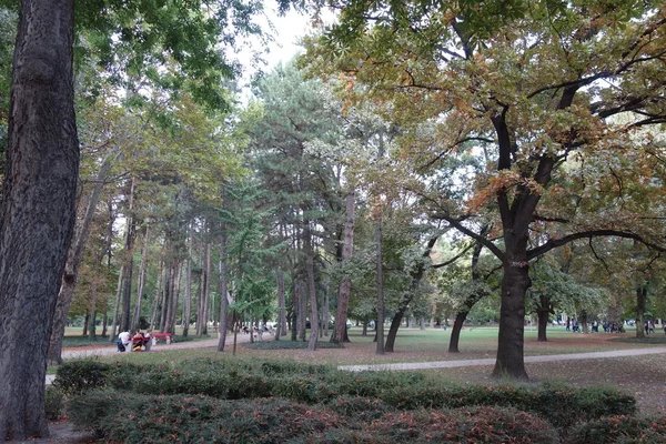 Budapest Margaret Eiland Tuin — Stockfoto