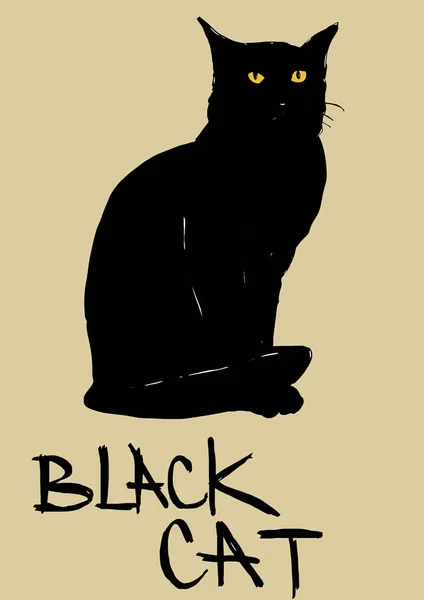 Siyah Bir Kedi Resmi — Stok fotoğraf