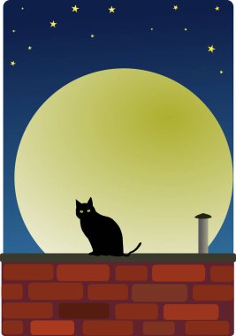 Ayla çatıda kara kedi
